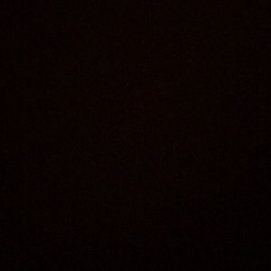 Meet your Posher, Ella